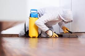 Dịch vụ Diệt Mối Và Côn Trùng Lan Anh