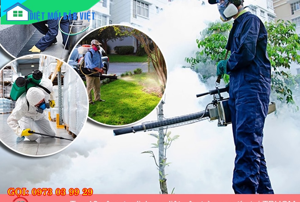 Dịch vụ Diệt Mối Và Côn Trùng Lan Anh