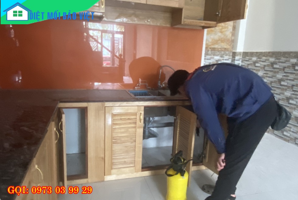 Dịch vụ Diệt Mối Và Côn Trùng Lan Anh