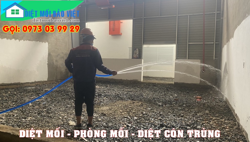 Dịch vụ Diệt Mối Và Côn Trùng Lan Anh