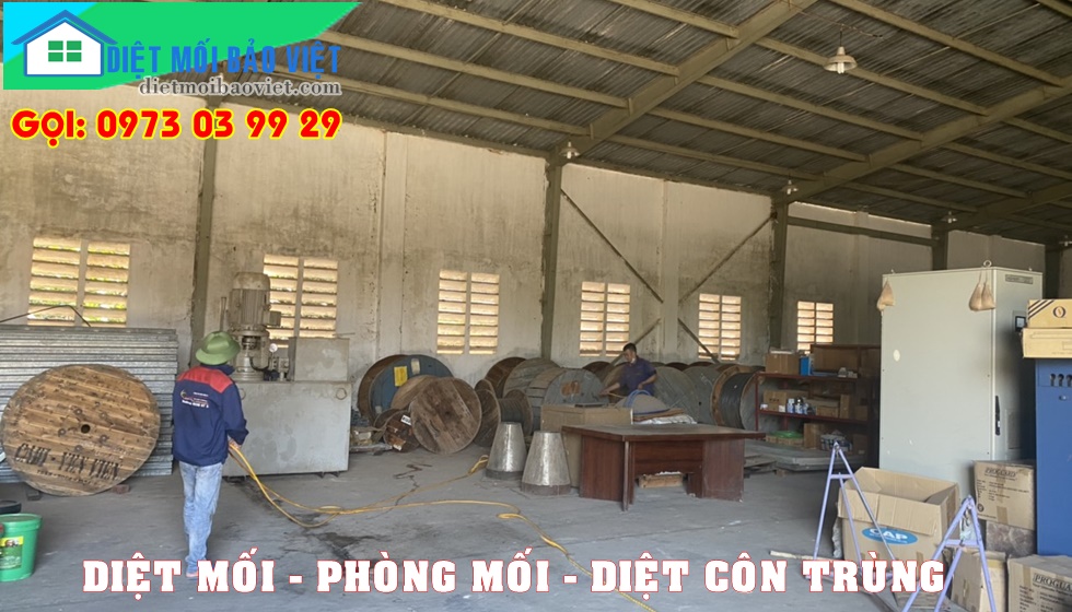 Dịch vụ Diệt Mối Và Côn Trùng Lan Anh