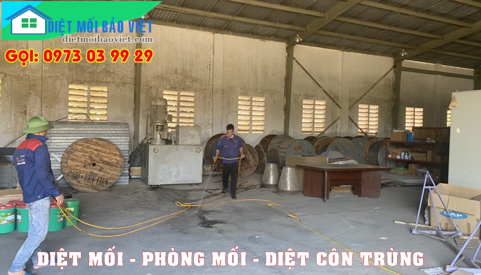 Dịch vụ Diệt Mối Và Côn Trùng Lan Anh