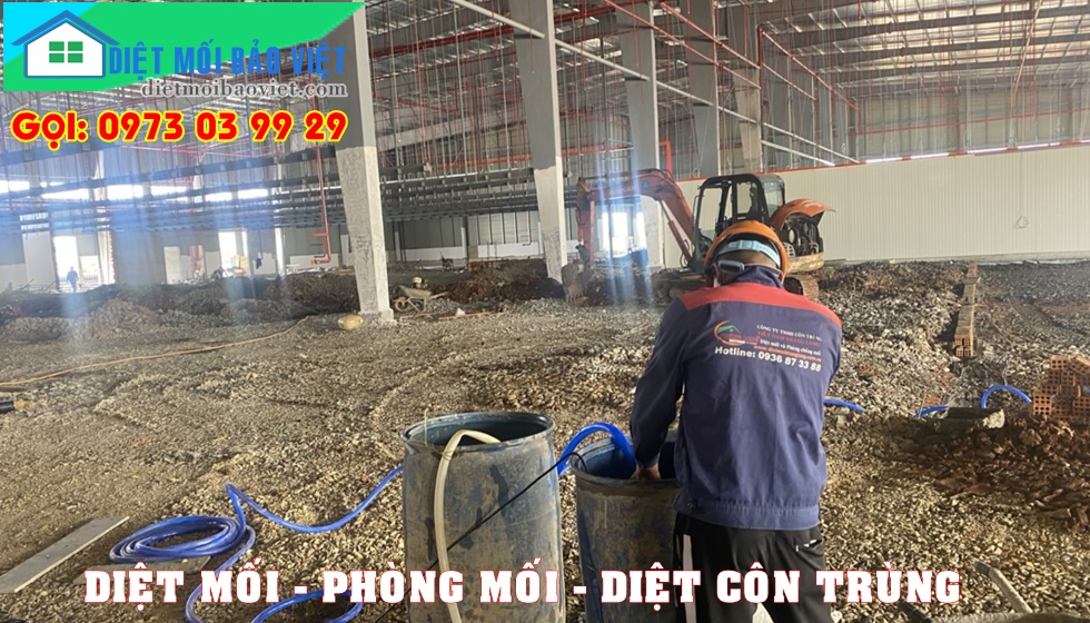 Dịch vụ Diệt Mối Và Côn Trùng Lan Anh