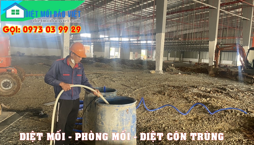 Dịch vụ Diệt Mối Và Côn Trùng Lan Anh