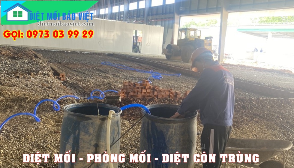 Dịch vụ Diệt Mối Và Côn Trùng Lan Anh