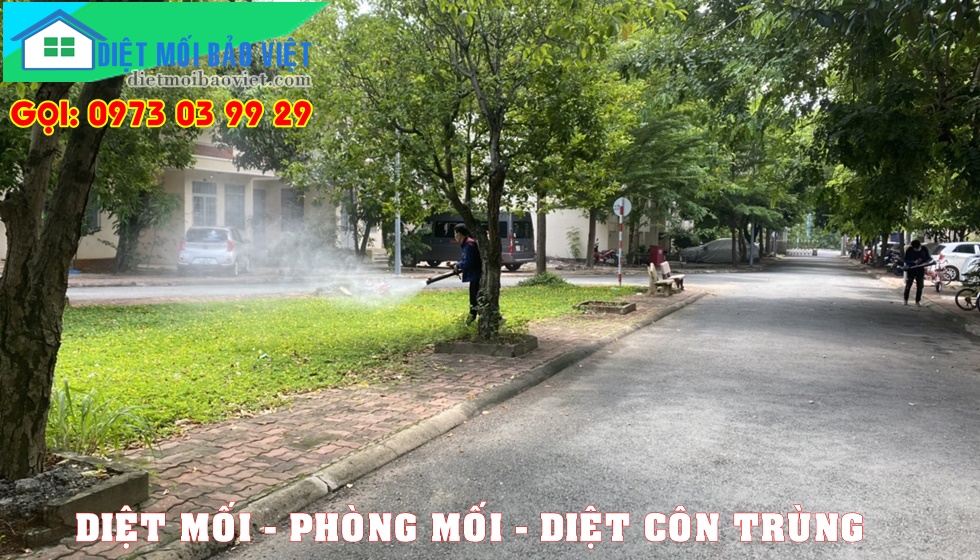 Dịch vụ Diệt Mối Và Côn Trùng Lan Anh
