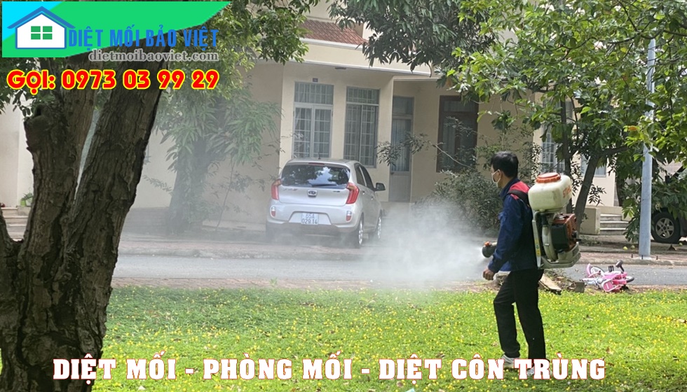 Dịch vụ Diệt Mối Và Côn Trùng Lan Anh