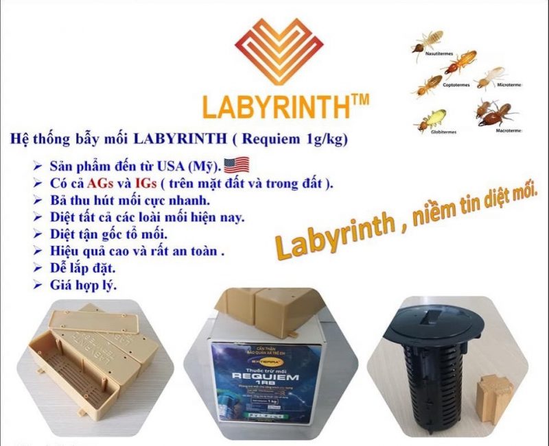 Dịch vụ Diệt Mối Và Côn Trùng Lan Anh
