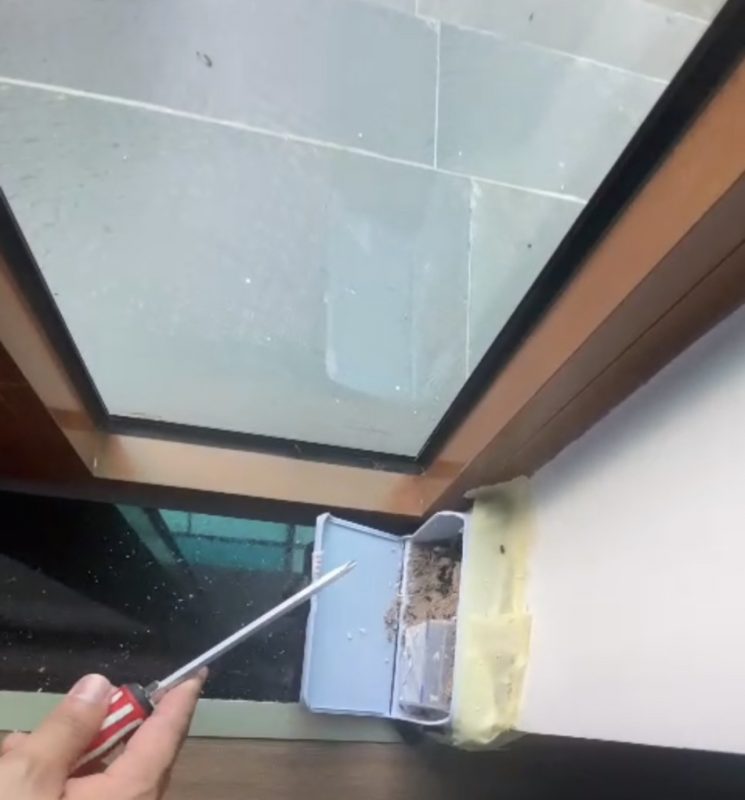 Dịch vụ Diệt Mối Và Côn Trùng Lan Anh