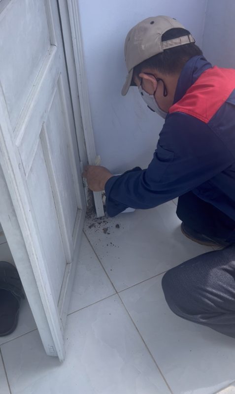Dịch vụ Diệt Mối Và Côn Trùng Lan Anh