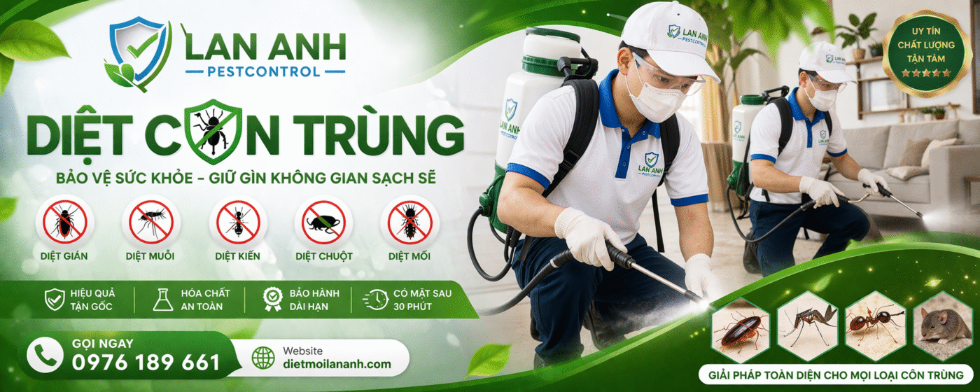 Dịch vụ Diệt Mối Và Côn Trùng Lan Anh