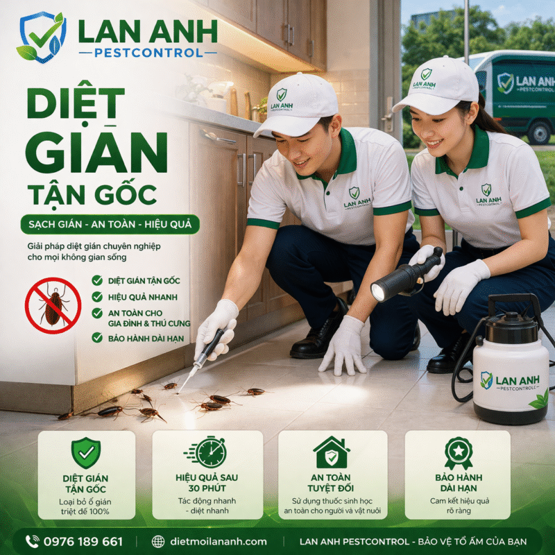Dịch vụ Diệt Mối Và Côn Trùng Lan Anh