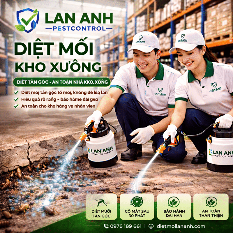 Dịch vụ Diệt Mối Và Côn Trùng Lan Anh